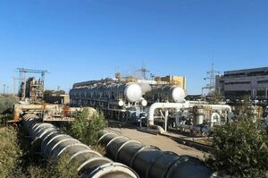 И напоят, и согреют