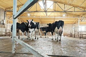 До старта сельхозпереписи в Казахстане остался месяц