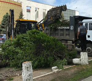 Битва за благополучие