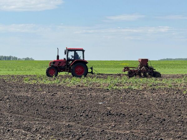 А пахать кто будет?