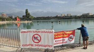 Место такое  или исполнители?