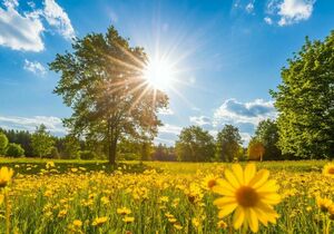 Местами осадки и в отдельных регионах сильная жара ожидаются в четверг в Казахстане