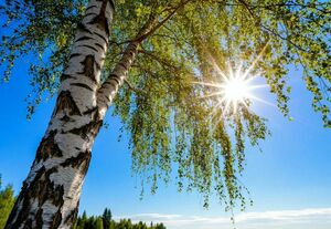 Жара и осадки ожидаются в пятницу по Казахстану