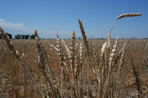 Фермеры получили вперёд