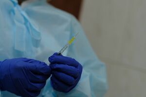 Это лето виновато