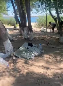 Руки прочь от зелени!