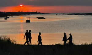 Забота по принуждению