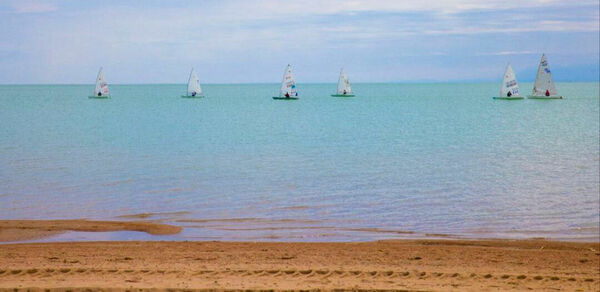 Оазис для туристов