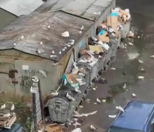 Дворовый переворот