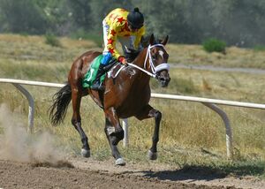 Скачи на зелёное