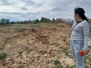 Если бизнесу хочется