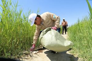 Решили начать с себя