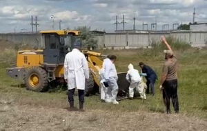 Загадка долинского пастбища