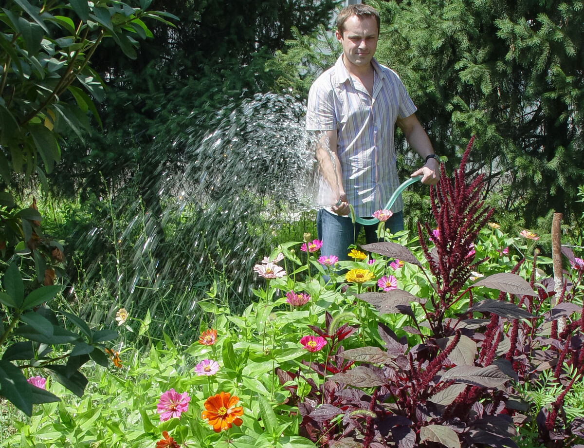 Прикинулся шлангом