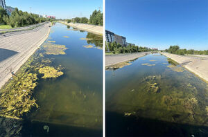 Подрядчик не проплывал?