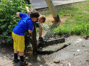 Ройте отсюда подальше!