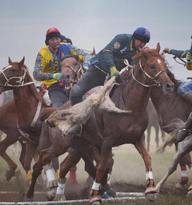 К победе - даже на чужих скакунах