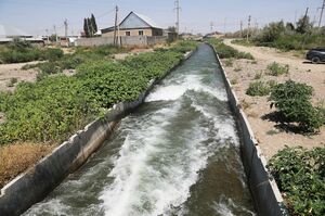 Поливать с умом