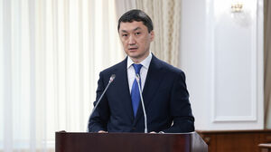 О муравейниках, птенцах и благородстве