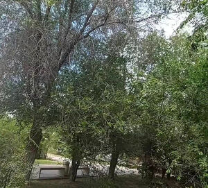 "Барбер" сменился