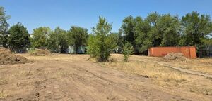 Высадить и высушить?