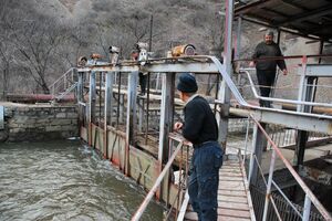 Кадровая жажда