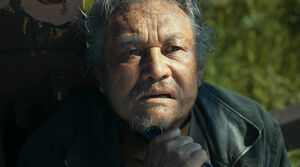 Фантастическая страна