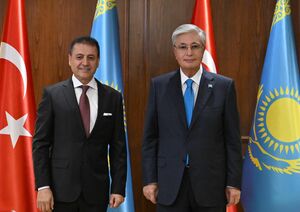 Глава государства принял председателя совета директоров компании Orzax Group Сельмана Алимоглу