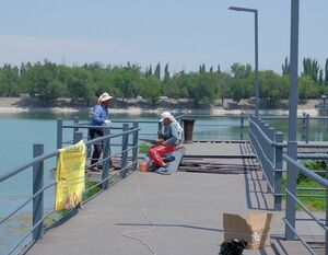 Слепили  из того, что было