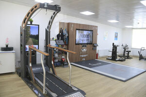 Реабилитация  или профанация?