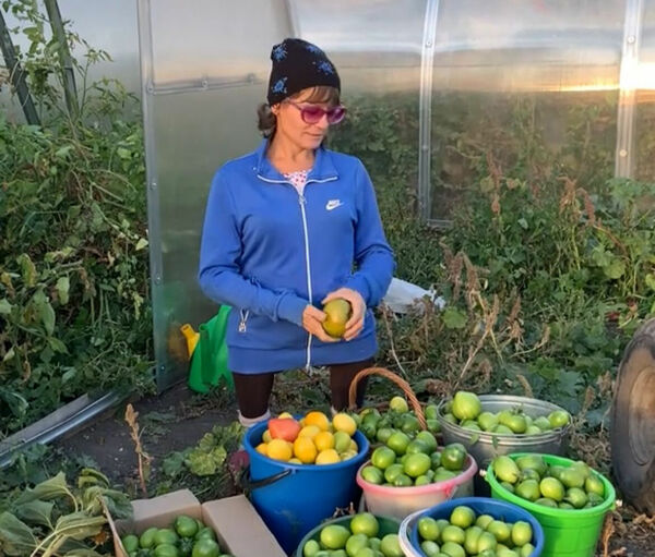 Первый блогер на деревне