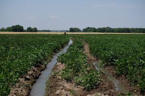 В этом деле главное - качать