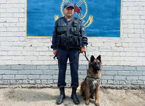 Не отведали кашу из топора