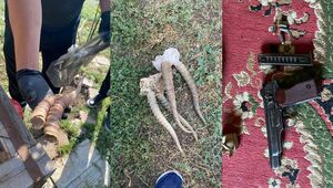 Рога сайги и незарегистрированное оружие изъяли у управляющего хозяйством в ЗКО