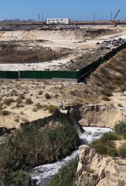 Химическая блокада