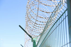 Кровавое утро