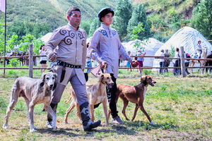 Ценная порода