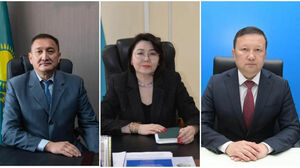 Ещё одна отставка