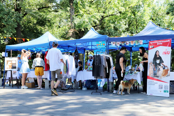 О зелёных людях и беззубых законах