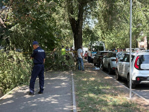 Не в том месте и не в то время…