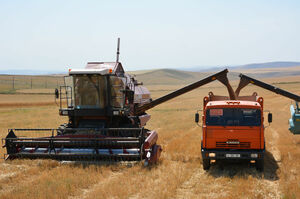 От сбора урожая до экспорта