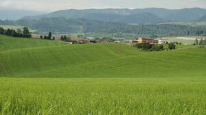 Полезные гектары