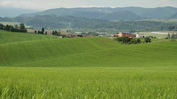 Полезные гектары