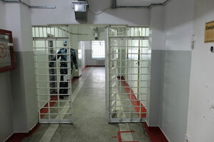 До суда не дожил