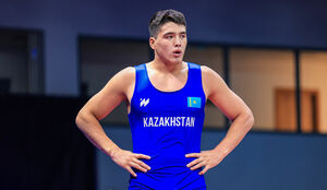 Забрали  три медали