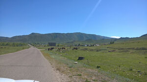 Восточная хитрость