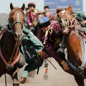 Палуаны в квадрате