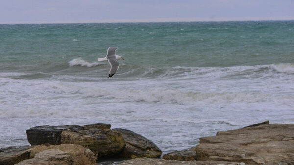 Вода непригодна для всех видов пользования