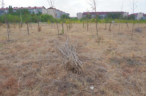 Засохшие миллиарды