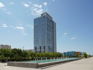 Многообещающий диплом